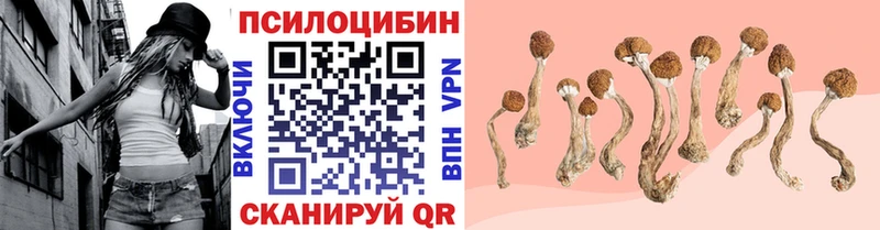 hydra ССЫЛКА  сколько стоит  Звенигород  Галлюциногенные грибы MAGIC MUSHROOMS 